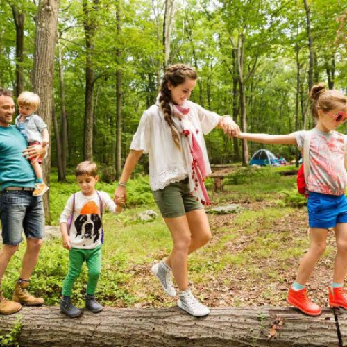 Activități de vară pentru părinți și copii: sugestii creative