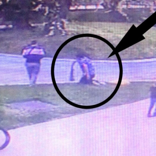 Incident de vandalism în Focșani: un bărbat a aruncat un pește mort în lacul din Grădina Publică