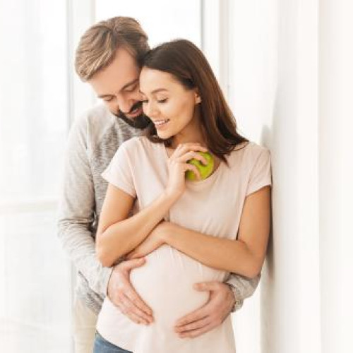 Guvernul relansează programul de fertilizare in vitro pentru familiile tinere