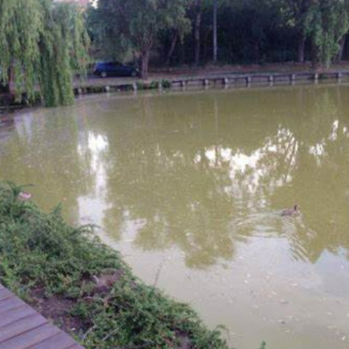 Clujenii cer primăriei să intervină pentru revitalizarea lacului Gheorgheni