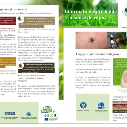 Crește riscul de boli transmise prin vectori în sezonul cald