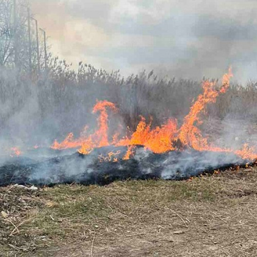 Incendiu de deșeuri menajere în Ardud