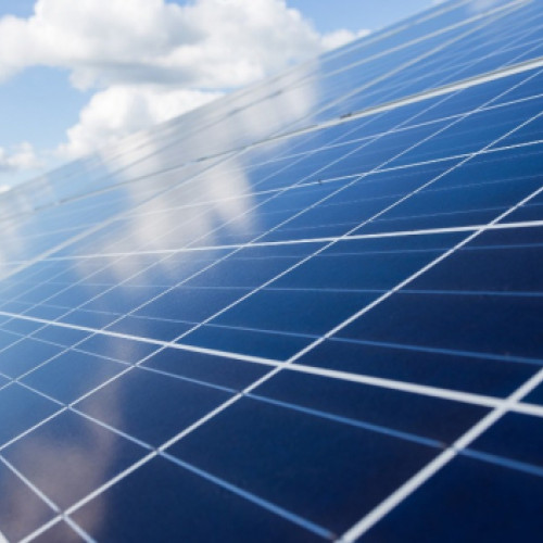 Guvernul aprobă un buget record pentru protecția mediului în 2025