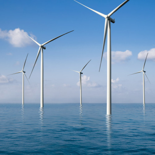 Oficialii americani încercă să cenzureze datele despre energie