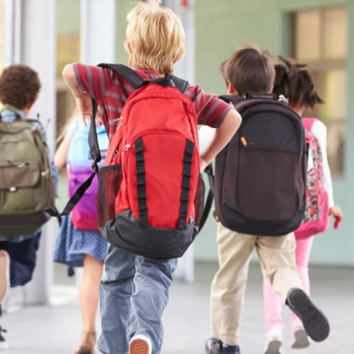 Elevii încep modulul 5 de școală pe 28 martie 2025