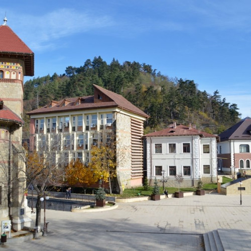 Sedințe extraordinare la Piatra Neamț, la o zi distanță