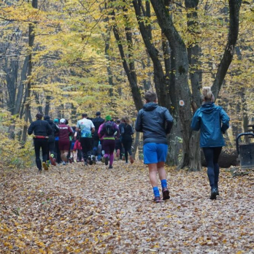 Maratonul de la Bistrița: O ocazie unică de a fi activ în natură