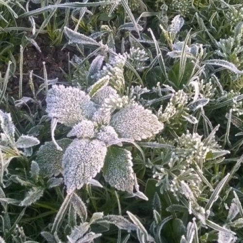 Vremea se răcește, atenționări meteorologice în mai multe județe