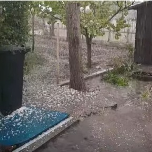 Grindina afectează culturile din Botoșani