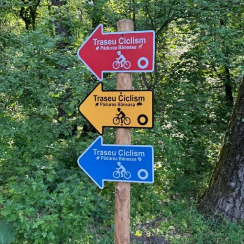Primăria Sectorului 1 lansează noi trasee pentru bicicliști în Pădurea Băneasa