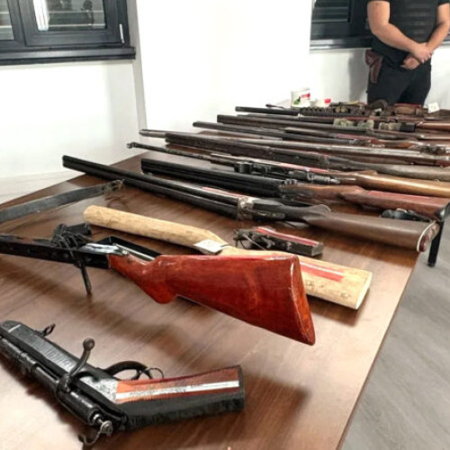 Poliția din Hunedoara confiscă arme și munitie în urma controalelor