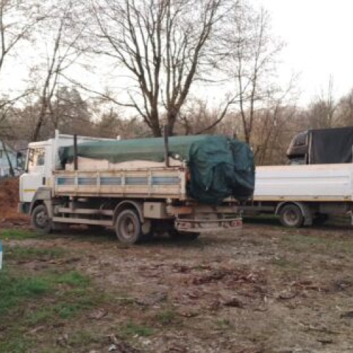 Cinci transporturi ilegale de lemn depistate într-o singură zi