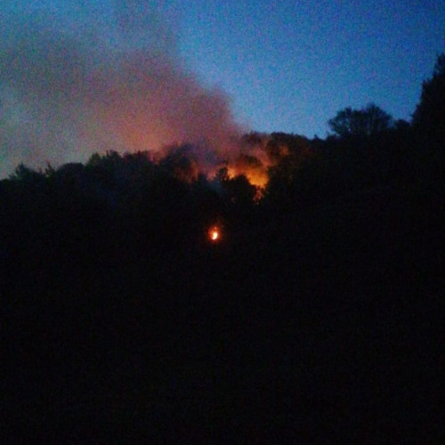 Incendiu de pădure în zona Suciu de Sus
