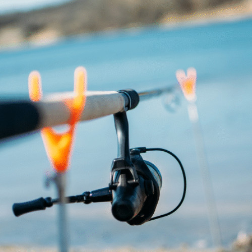 Pescuitul la feeder: conexiune autentică cu natura pentru români