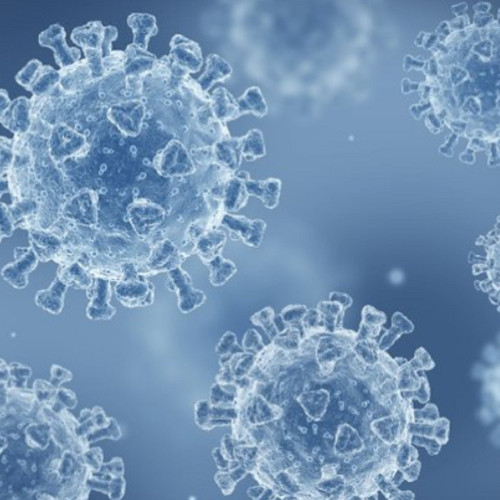 O echipă de cercetători folosește inteligența artificială pentru tratamente împotriva virusurilor zoonotice