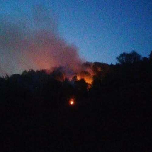 Incendiu de vegetație în comuna Suciu de Sus