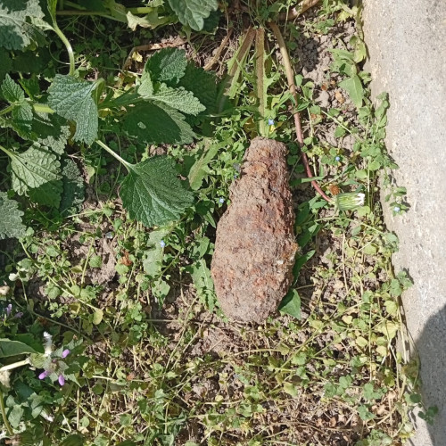 Descoperire periculoasă în comuna Sagna, județul Neamț