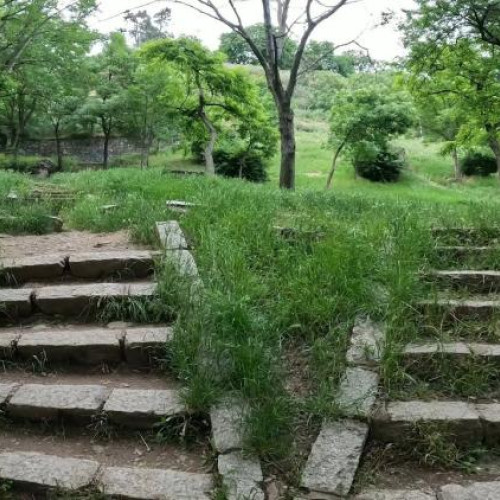 Clujenii sunt dezamăgiți de starea parcului Cetățuia