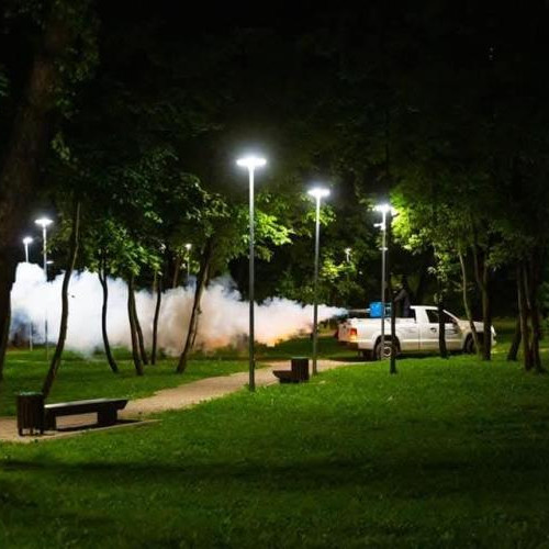 Cluj-Napoca demarează o nouă etapă de dezinsecție