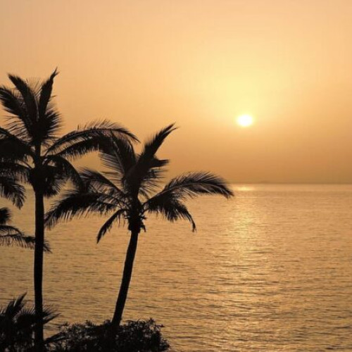 Curiozități surprinzătoare din Tenerife