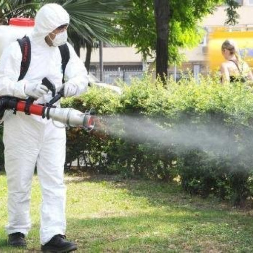 Activități de dezinsecție în Arad între 28 aprilie și 2 mai 2025