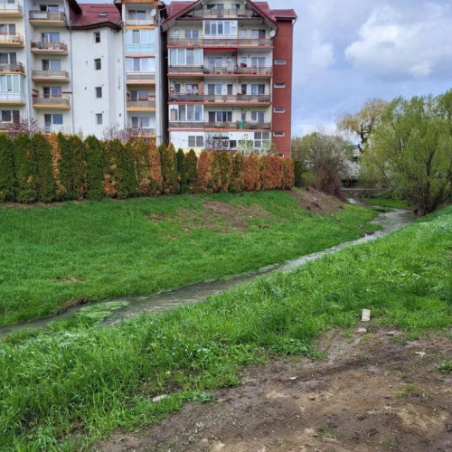 Ecologii avertizează despre poluarea râului Bistrița Ardeleană