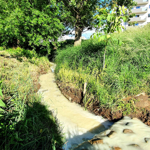 Primăria Sibiu lansează licitația pentru amenajarea coridoarelor verzi