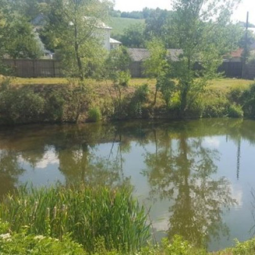 Bărbat aproape de a se scufunda cu tractorul într-un iaz