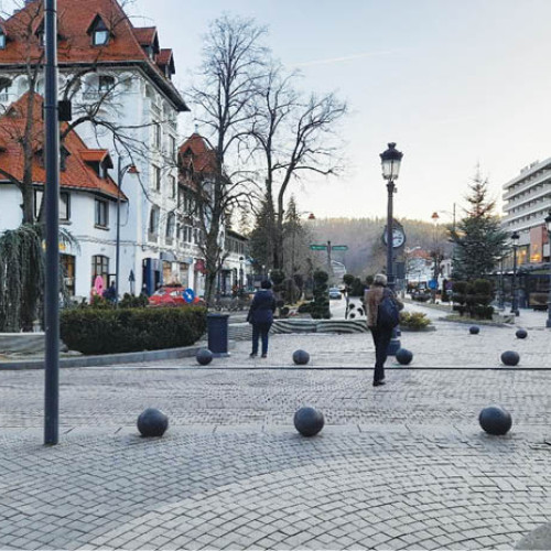 N. Dumitrescu a obținut rezultate remarcabile în competiții