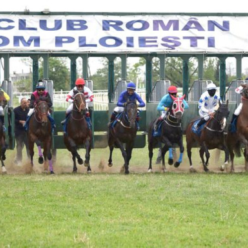 evenimente hipice la hipodromul ploiesti