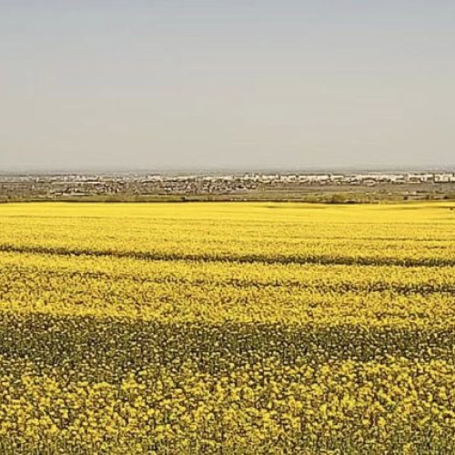 Vremea se va încălzi în Moldova, conform prognozei ANM