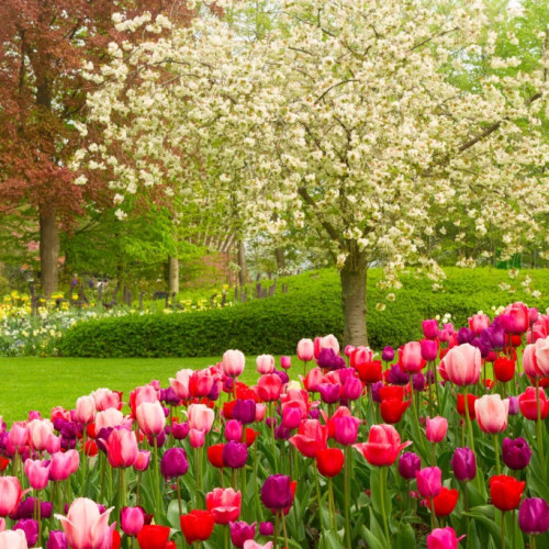 Prognoza meteorologică: temperaturi ridicate și precipitații excesive în mai