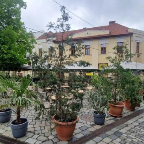 Critici dure pentru o terasă din Piața Muzeului din Cluj-Napoca