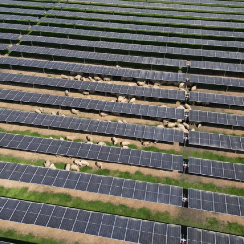 Cel mai mare parc fotovoltaic din România a fost finalizat