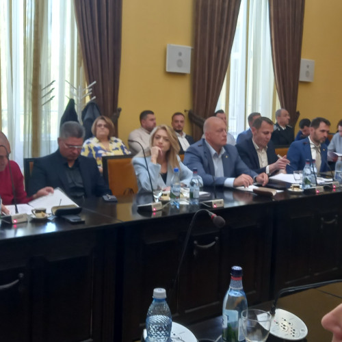 Nemulțumiri față de activitatea Poliției Locale Botoșani