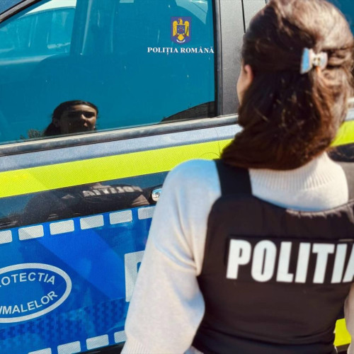 Incident rutier la Târgoviște: șofer băut, refuz de prelevare a probelor