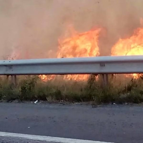 Incendiu de vegetație uscată în Dâmbovița