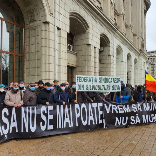 Greva de avertisment a Federației Sindicatelor Silva împotriva reorganizării Romsilva