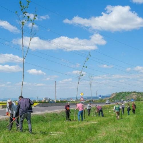 1.000 de arbori și arbuști pentru Centura Verde a Brașovului