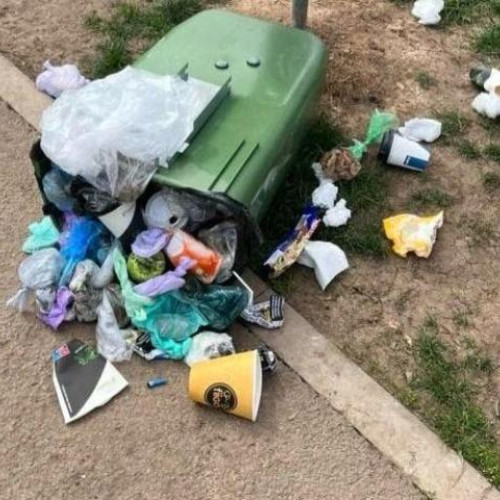 Parcul Beiusului din Cluj-Napoca, într-o stare devastatoare