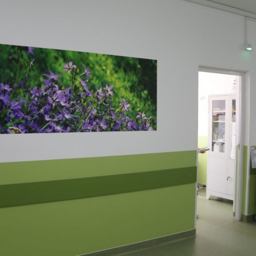 Consiliul Județean Gorj alocă fonduri pentru modernizarea spitalului