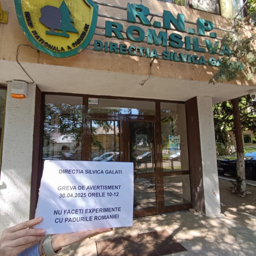 Proteste în domeniul silviculturii după propunerea de reorganizare a Romsilva