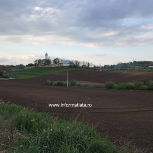 Acțiune de ecologizare la Moara, în apropierea Mănăstirii Hagigadar