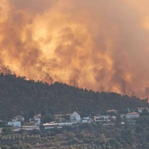 Incendii devastatoare în Israel: servicii de urgență în alertă maximă