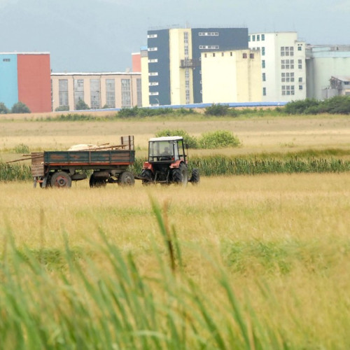 Peste 28.000 de hectare de teren agricol din România sunt deținute de străini