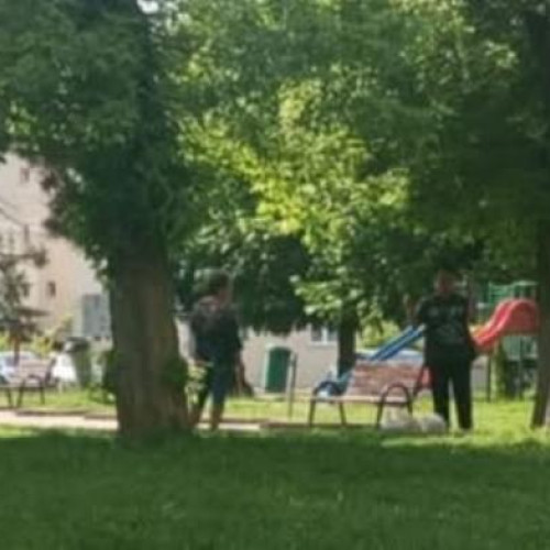 A lipsit bunul simț în Cluj: Bărbat surprins făcând nevoile în Parcul Central