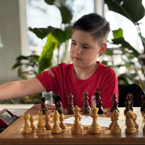 Darius Cristian Pana, un mic campion la șah