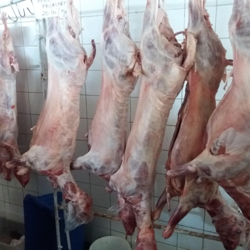 Tradiția mielului de Paște se menține la Botoșani