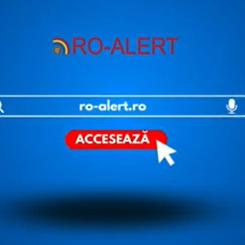 Urs observat pe strada Gustav Kollar din Brașov