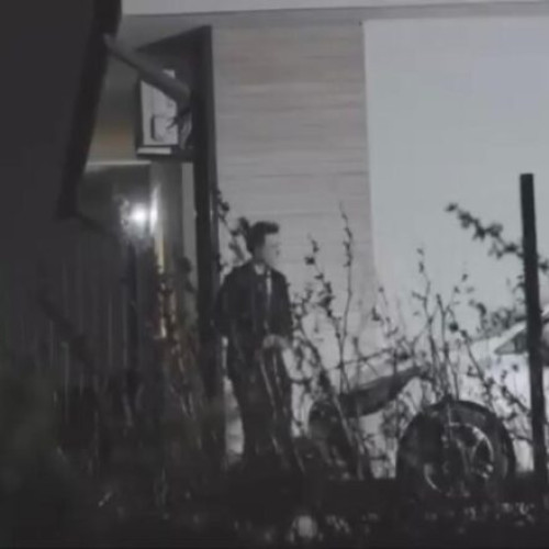 Elena Lasconi publică imagini cu Nicușor Dan și alții